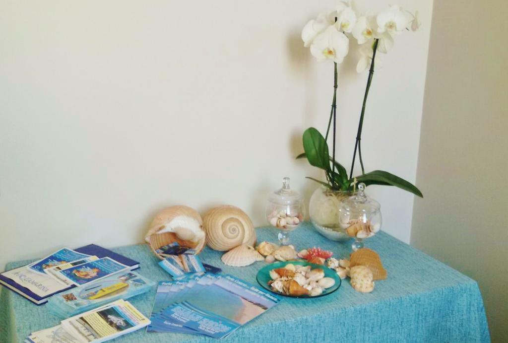 Acquamarina B&B Porto Cesareo Eksteriør bilde